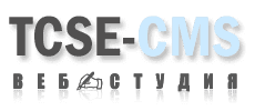 Веб-студия TCSE